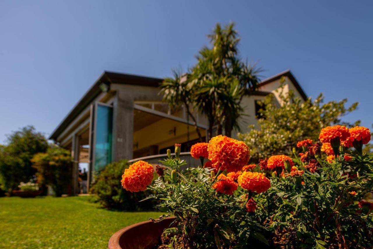 Villa Tigli Luxury B&B Martinsicuro Exteriér fotografie