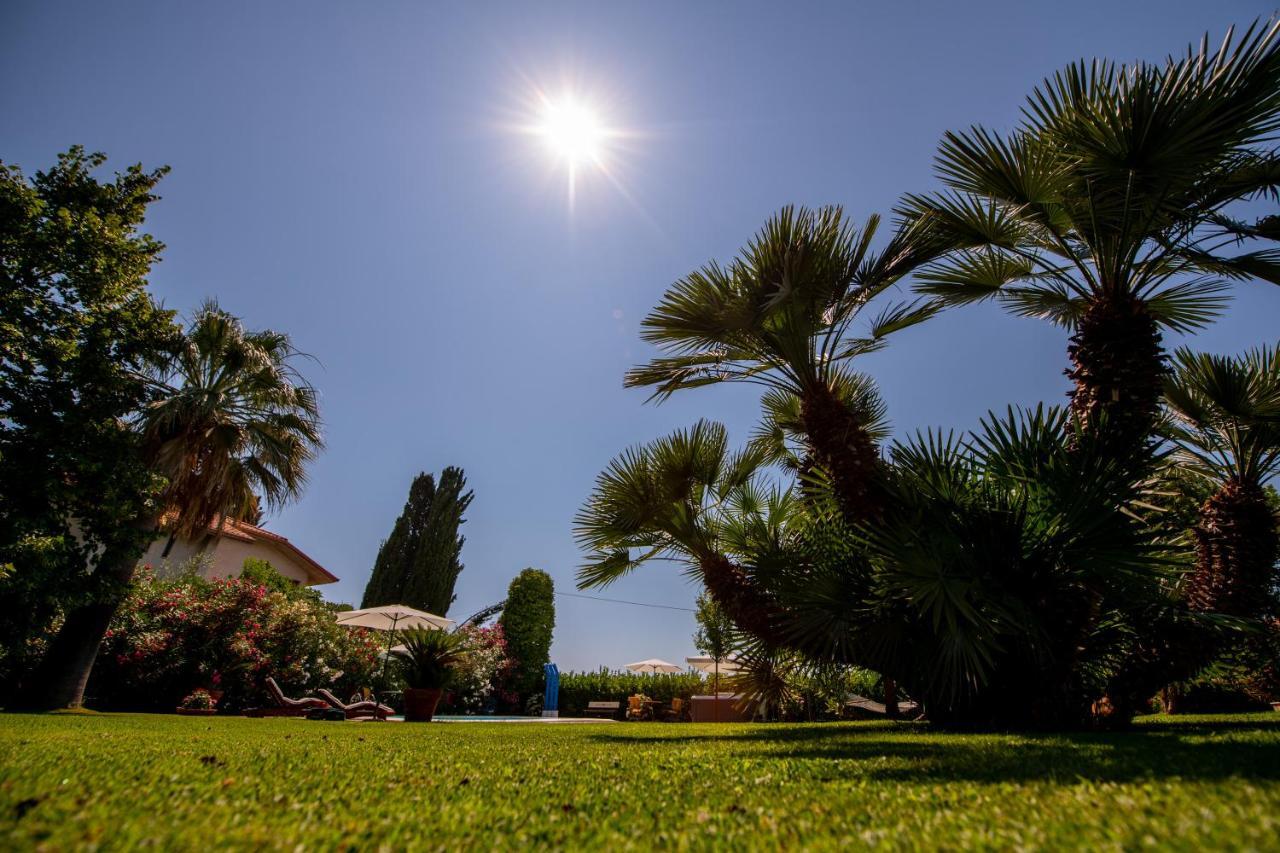 Villa Tigli Luxury B&B Martinsicuro Exteriér fotografie